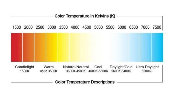 3000K vs 4000K vs 5000K: Which Is Best For Outdoor Lighting