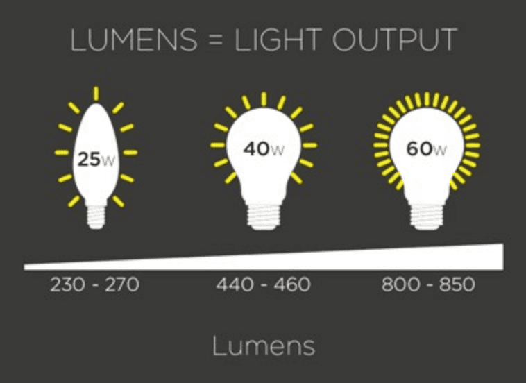 Lumens=Light Output